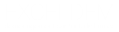 logo-ExcelDem
